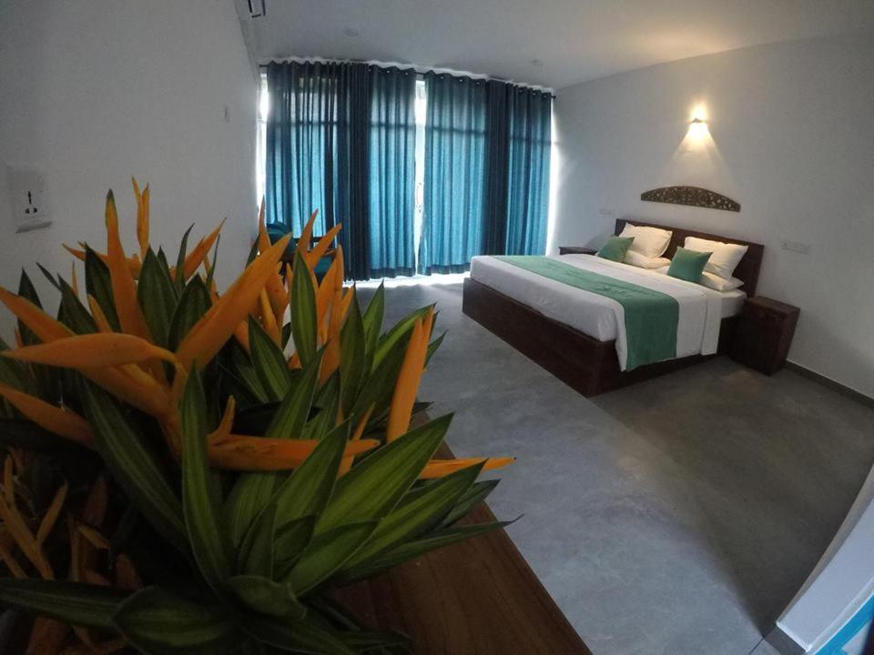 N 34 Hotell Mirissa Eksteriør bilde